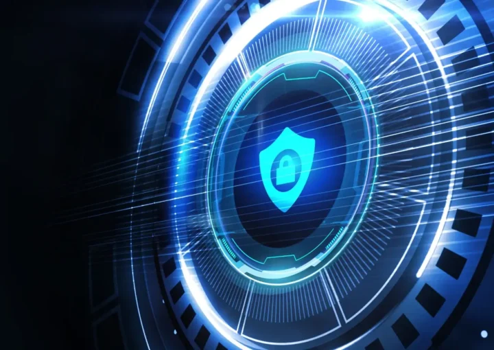 data privacy vs data security